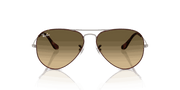 Brown Vintage Gradient Black Lenses, Polished Havana On Gunmetal Frame