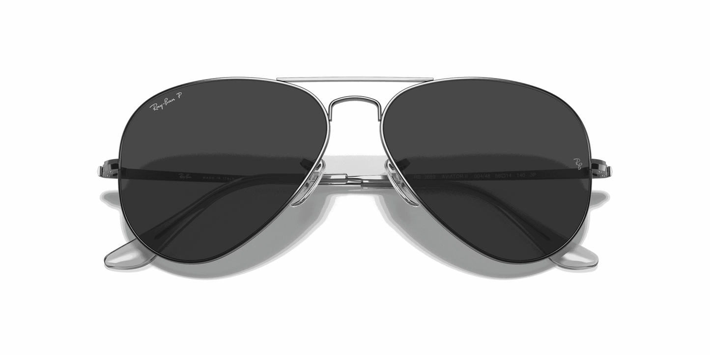 [Black Lenses, Polished Gunmetal Frame]