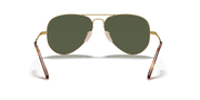 G-15 Green Lenses, Polished Arista Gold Frame