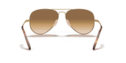 Light Brown Gradient Lenses, Polished Arista Gold Frame