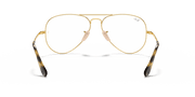 Clear Lenses, Polished Arista Gold Frame