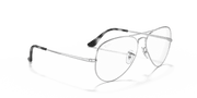 Clear Lenses, Polished Silver Frame