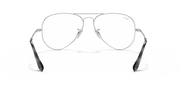 Clear Lenses, Polished Silver Frame