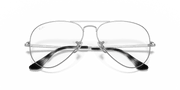 Clear Lenses, Polished Silver Frame