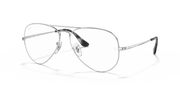 Clear Lenses, Polished Silver Frame