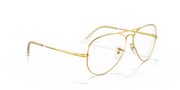 Clear Lenses, Polished Gold Frame