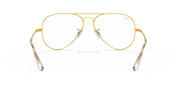 Clear Lenses, Polished Gold Frame