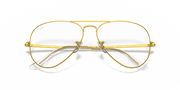 Clear Lenses, Polished Gold Frame