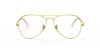 [Clear Lenses, Polished Gold Frame]