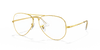 [Clear Lenses, Polished Gold Frame]