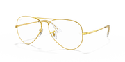 Clear Lenses, Polished Gold Frame