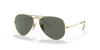 [G-15 Green Lenses, Polished Gold Frame]