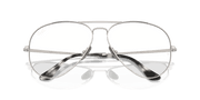 Clear Lenses, Polished Silver Frame