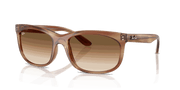 Clear Gradient Brown Lenses, Polished Striped Brown Frame