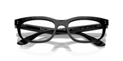 Clear Lenses, Polished Black Frame