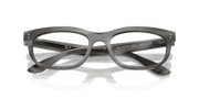 Clear Lenses, Polished Striped Gray Frame