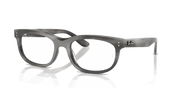 Clear Lenses, Polished Striped Gray Frame