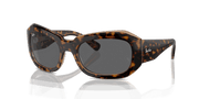 Dark Grey Lenses, Polished Havana On Transparent Brown Frame