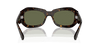 [Green Lenses, Polished Havana Frame]