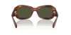 [Green Lenses, Polished Striped Havana Frame]