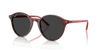 [Polar Black Lenses, Polished Transparent Shade Fantasy Red Frame]