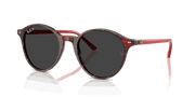 Polar Black Lenses, Polished Transparent Shade Fantasy Red Frame