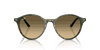 [Brown Lenses, Polished Transparent Shade Fantasy Green Frame]