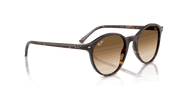 Clear Gradient Brown Lenses, Polished Havana Frame