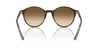 [Clear Gradient Brown Lenses, Polished Havana Frame]