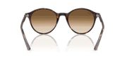 Clear Gradient Brown Lenses, Polished Havana Frame