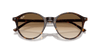 [Clear Gradient Brown Lenses, Polished Havana Frame]