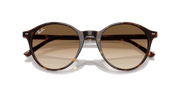 Clear Gradient Brown Lenses, Polished Havana Frame