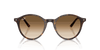 [Clear Gradient Brown Lenses, Polished Havana Frame]