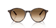 Clear Gradient Brown Lenses, Polished Havana Frame