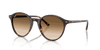 [Clear Gradient Brown Lenses, Polished Havana Frame]