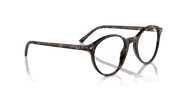 Clear Lenses, Polished Havana Frame