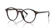 Clear Lenses, Polished Havana Frame