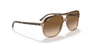 Light Brown Gradient Lenses, Polished Havana On Transparent Brown Frame