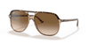 [Light Brown Gradient Lenses, Polished Havana On Transparent Brown Frame]