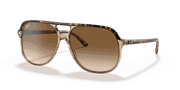 Light Brown Gradient Lenses, Polished Havana On Transparent Brown Frame