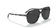 Dark Grey Lenses, Polished Grey Havana Frame