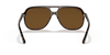 [B-15 Brown Lenses, Polished Havana Frame]