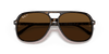 [B-15 Brown Lenses, Polished Havana Frame]