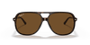 [B-15 Brown Lenses, Polished Havana Frame]