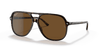 [B-15 Brown Lenses, Polished Havana Frame]