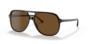 B-15 Brown Lenses, Polished Havana Frame