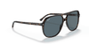 [Blue Lenses, Polished Havana Frame]