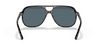 [Blue Lenses, Polished Havana Frame]