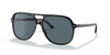 [Blue Lenses, Polished Havana Frame]