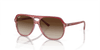 [Brown Lenses, Polished Top Red & Orange & Light Purple Frame]